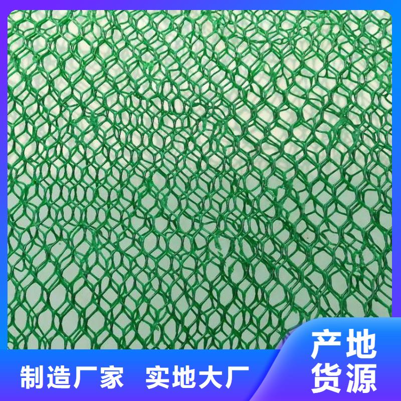 【三维植被网】-塑料盲沟真诚合作
