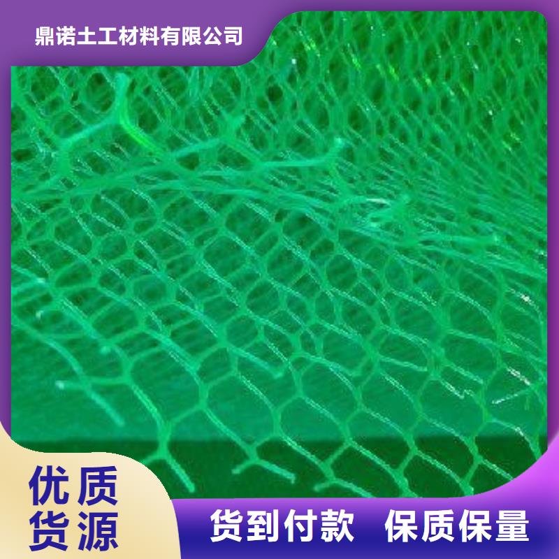 三维植被网三维土工网垫供应商