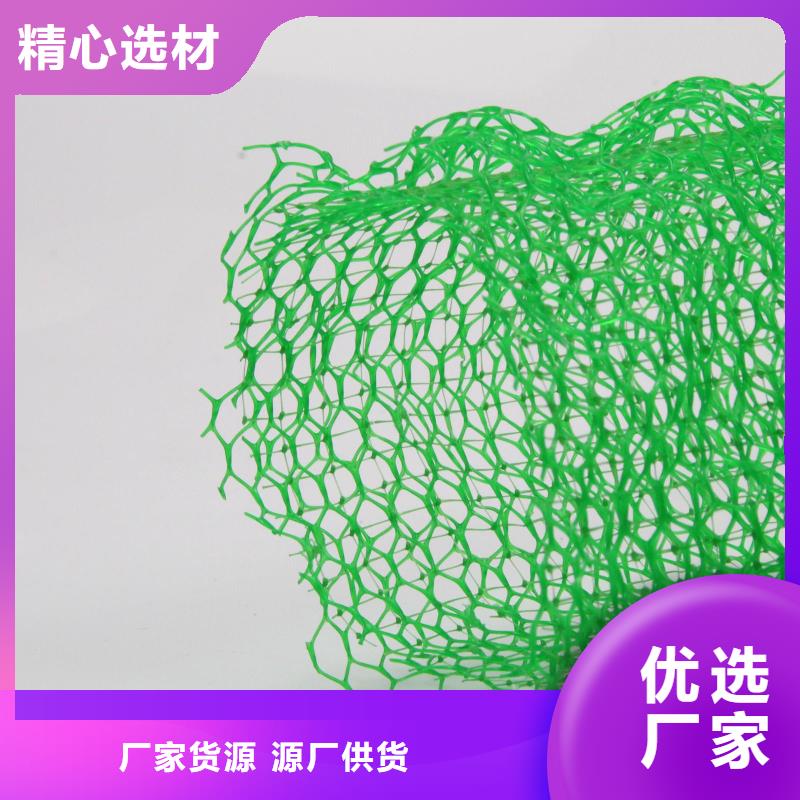 三维植被网塑料盲沟层层质检