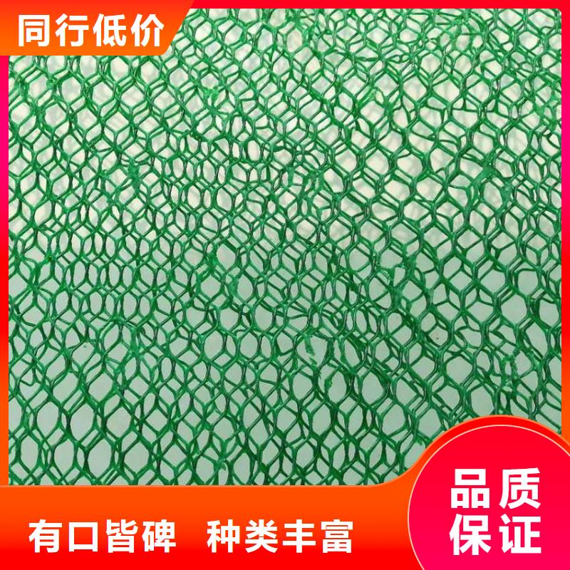 【三维植被网_护坡土工网值得信赖】