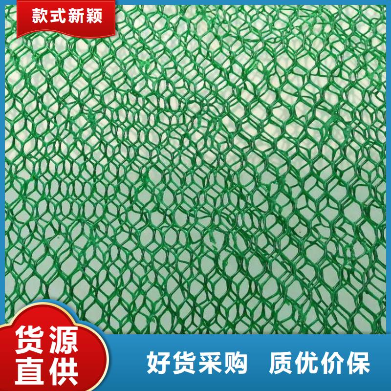 三维植被网-钢塑土工格栅价格透明