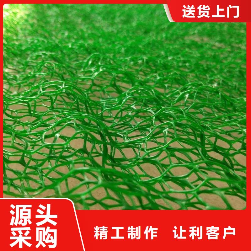 【三维植被网】单向拉伸塑料格栅种类丰富
