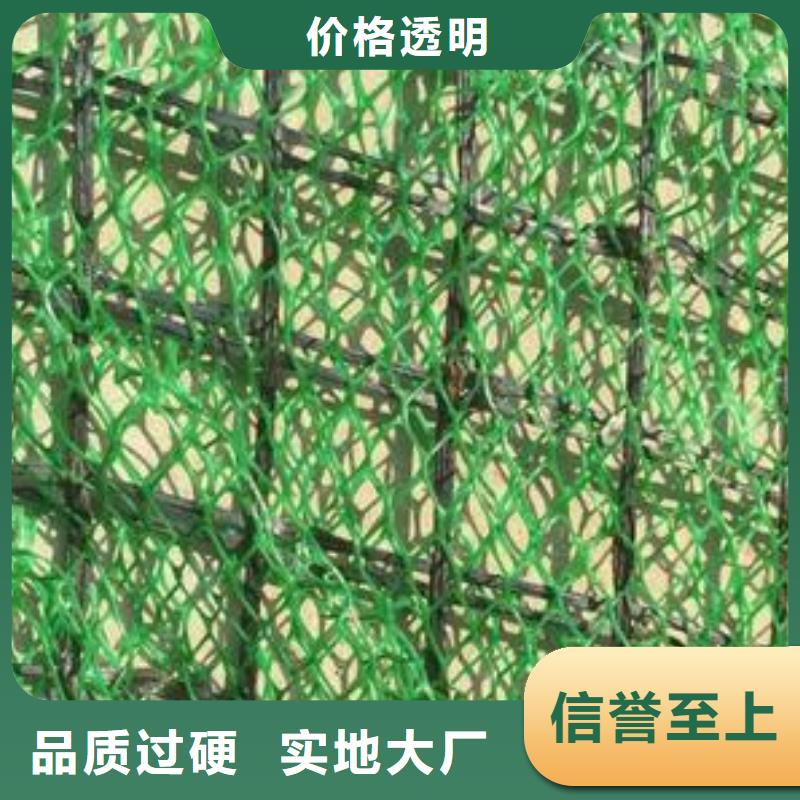 【三维植被网单向塑料土工格栅产品优势特点】