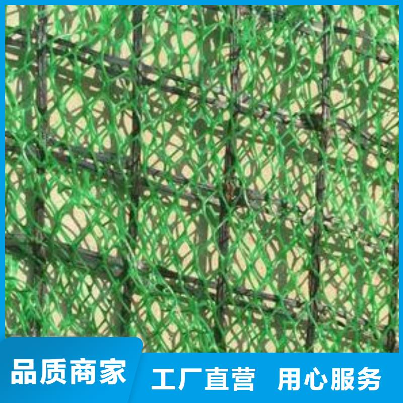 【三维植被网】长丝土工布批发货源