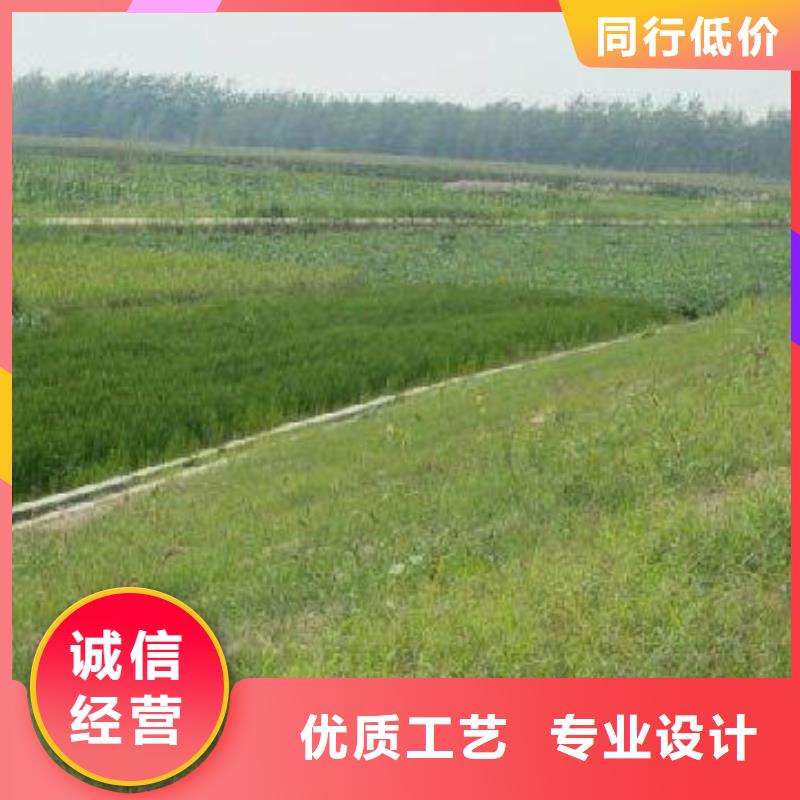三维植被网三维土工网垫供应商