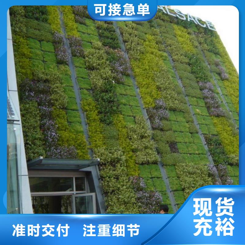 三维植被网_【凸结点钢塑土工格栅】用品质赢得客户信赖