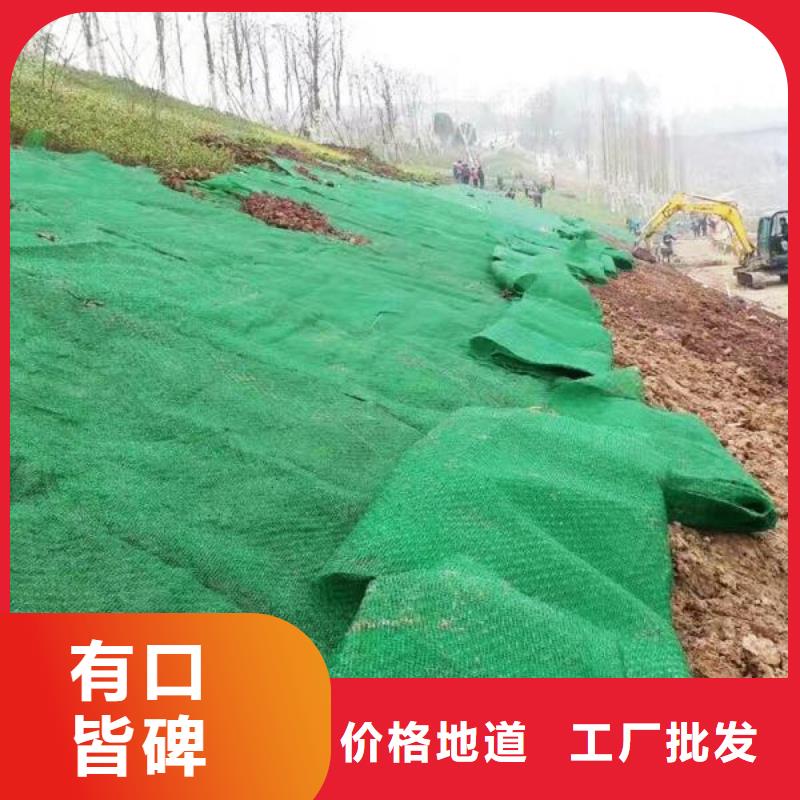 【三维植被网现货供应】