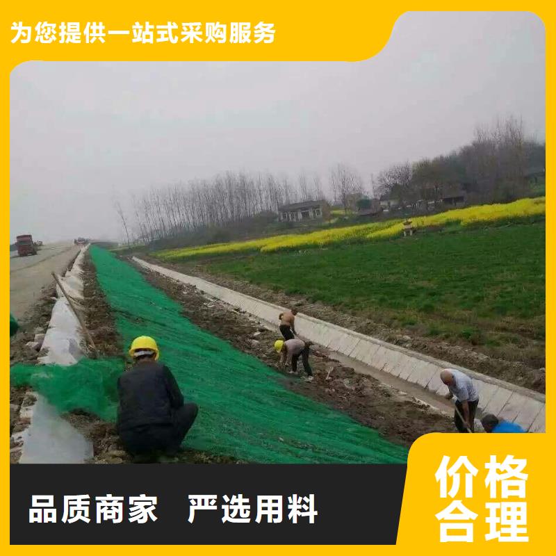三维植被网长丝土工布质量为本