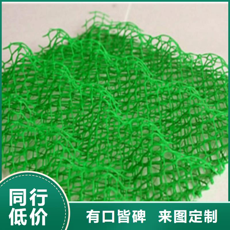 三维植被网,单向塑料土工格栅N年生产经验