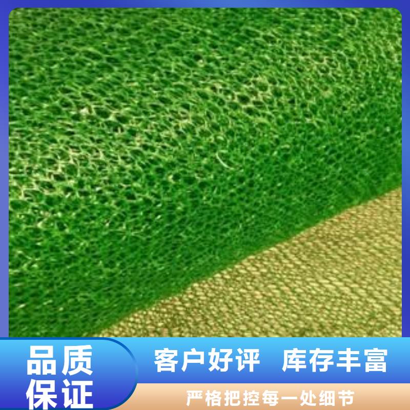 三维植被网钢塑土工格栅源头厂家直销