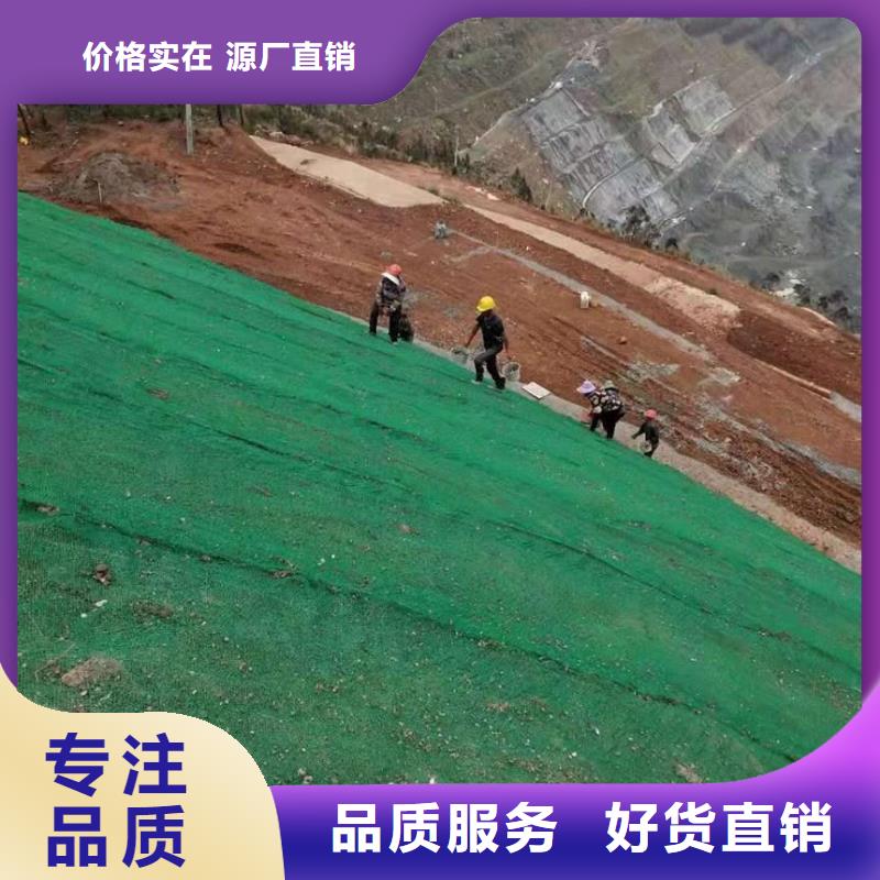 三维植被网土工格室定制定做