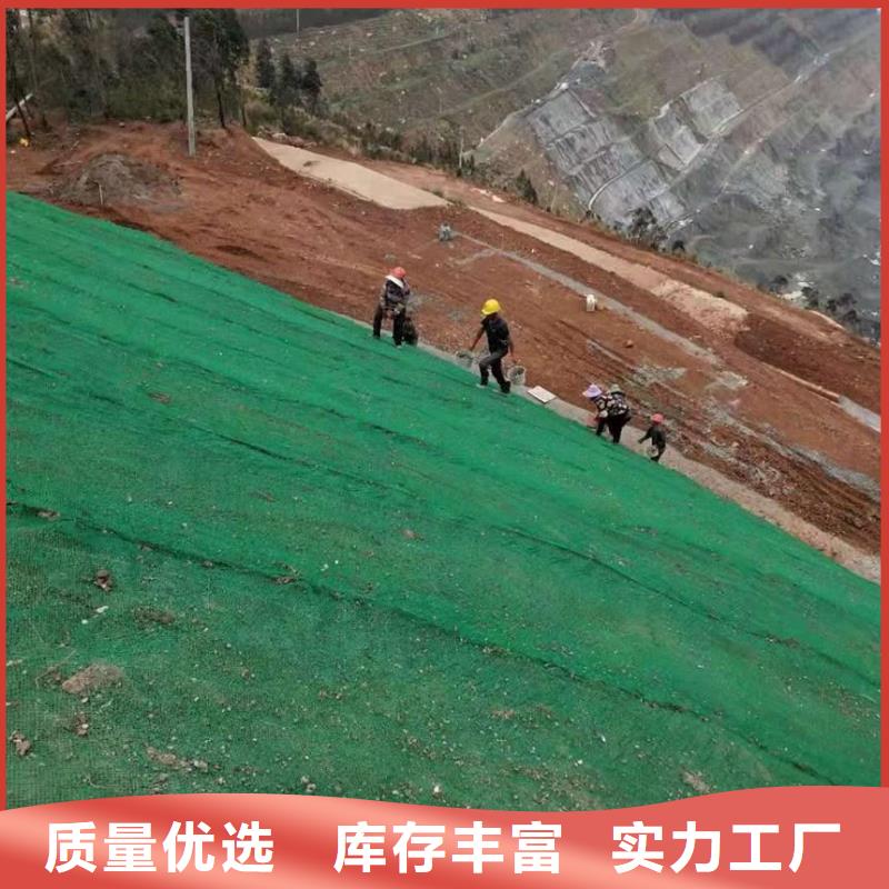 三维植被网凸结点钢塑土工格栅专心专注专业