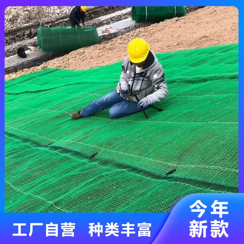 三维植被网,单向塑料土工格栅N年生产经验