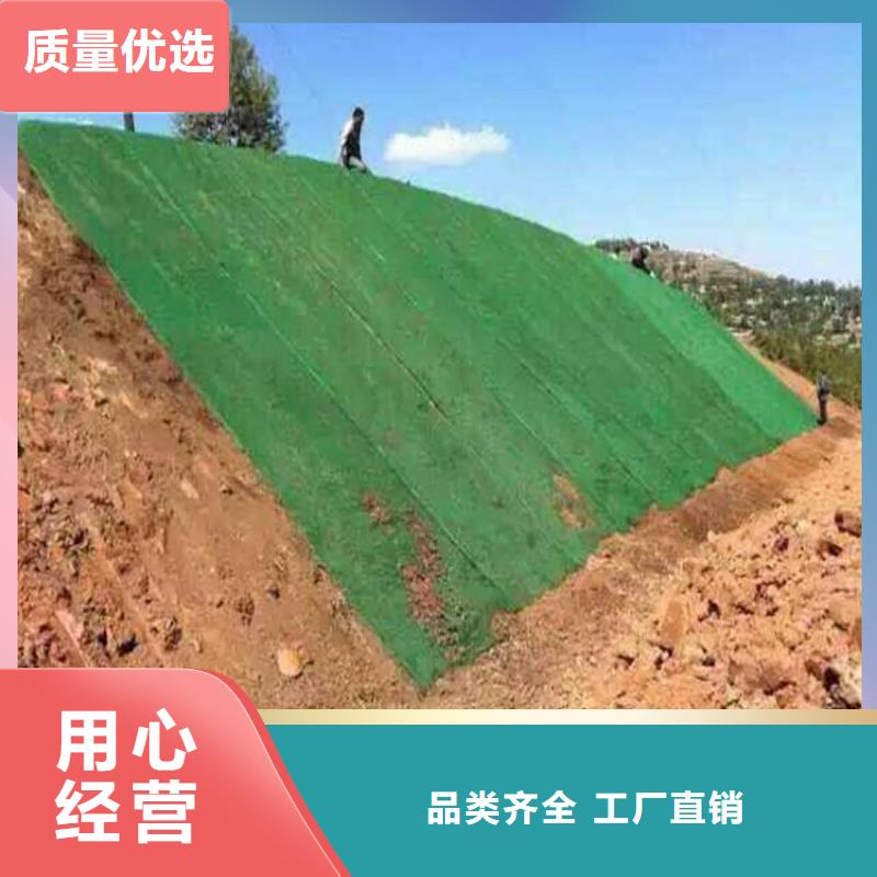 三维植被网_凸结点钢塑土工格栅工厂直供