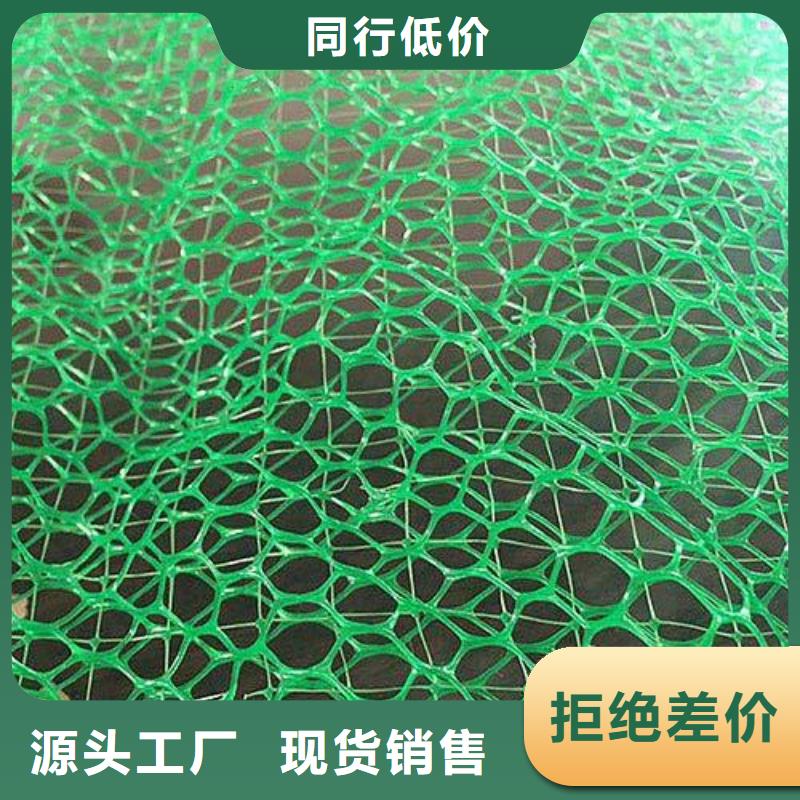 三维植被网水土保护毯来图来样定制