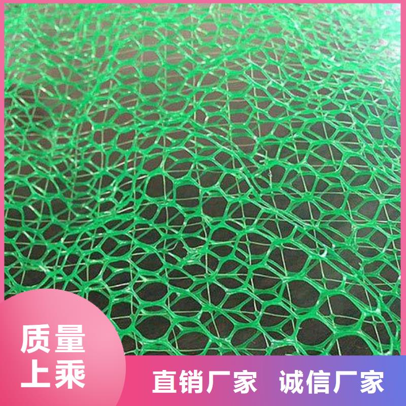 三维植被网-长丝土工布优良材质