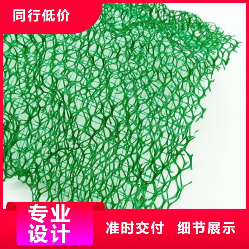 三维植被网单向拉伸塑料格栅当地货源
