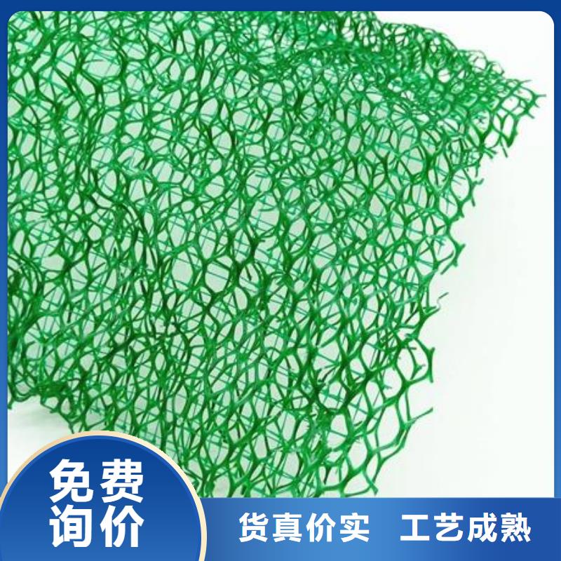 三维植被网-复合土工膜多种规格供您选择