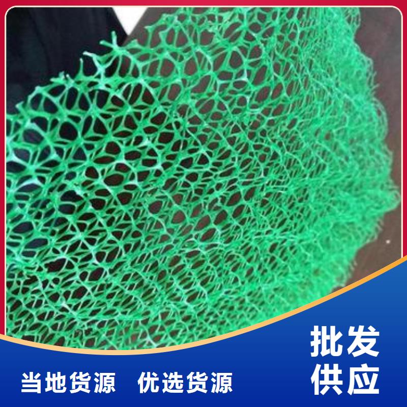 三维植被网-复合土工膜多种规格供您选择
