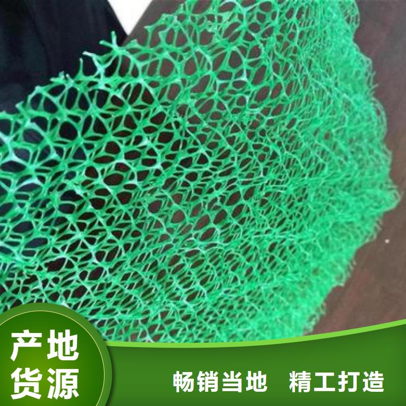 三维植被网水土保护毯来图来样定制