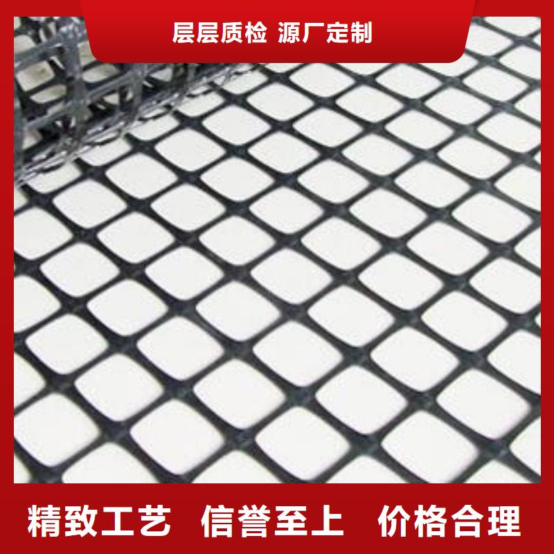 玻纤土工格栅护坡土工网严选好货