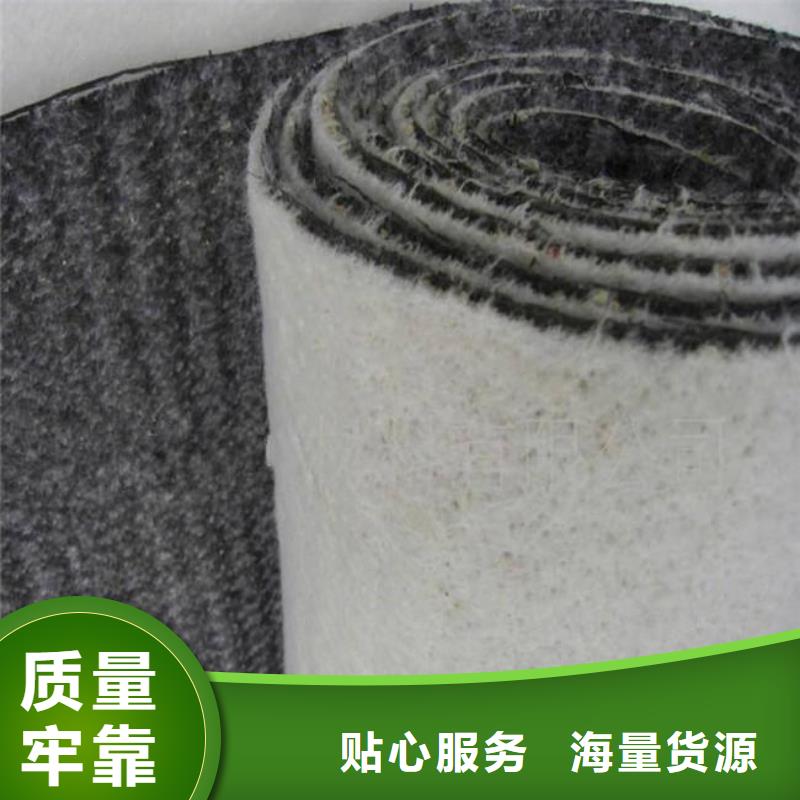 膨润土防水毯_护坡土工网质检严格放心品质