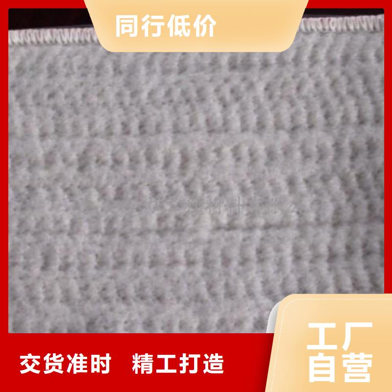 膨润土防水毯单向塑料土工格栅精选好货