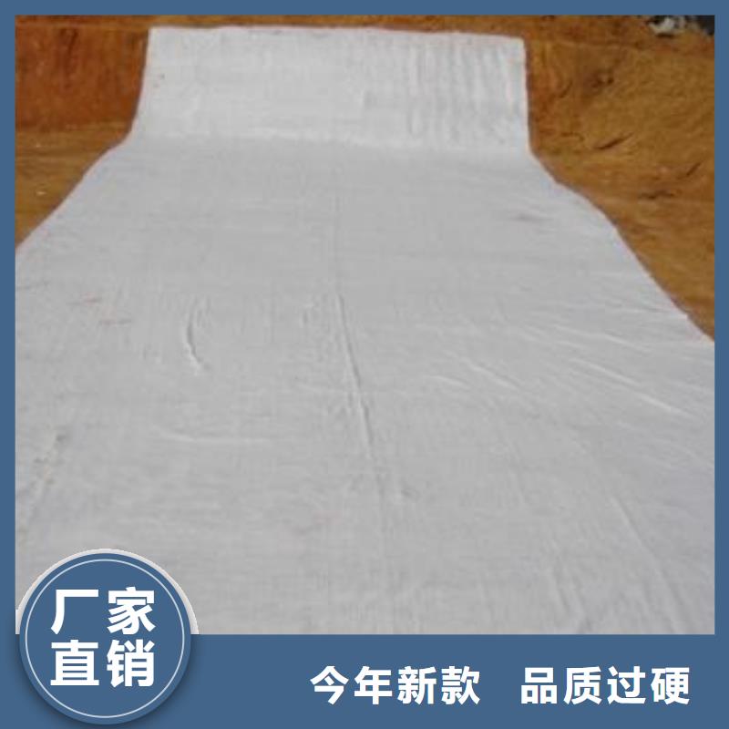 膨润土防水毯水土保护毯严谨工艺