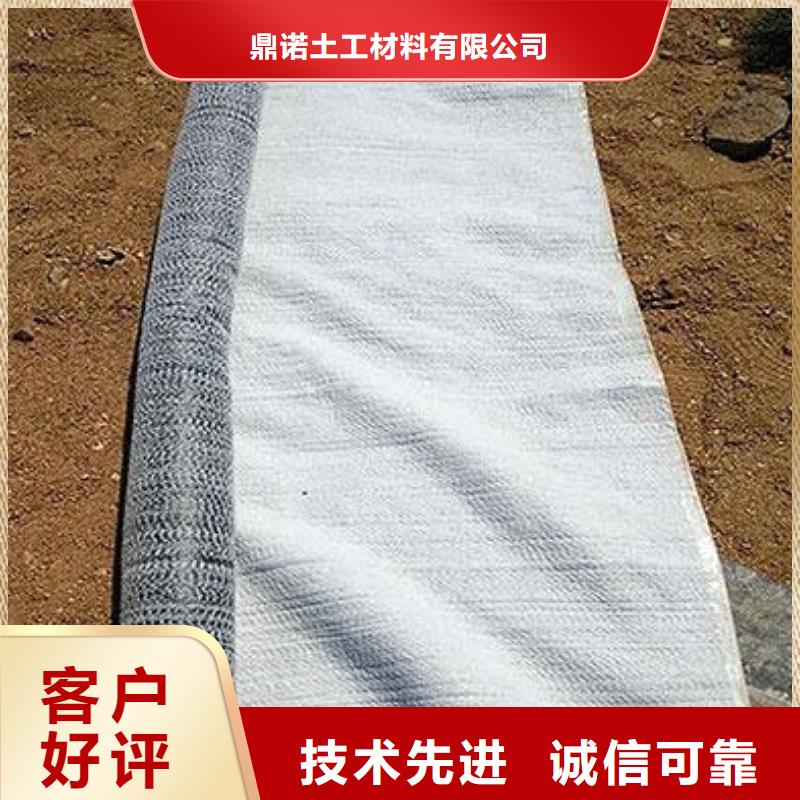 膨润土防水毯水土保护毯严谨工艺