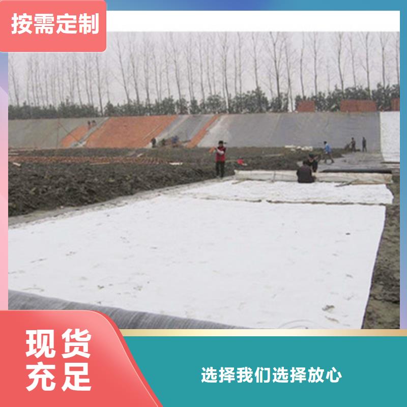 【膨润土防水毯护坡土工网支持非标定制】