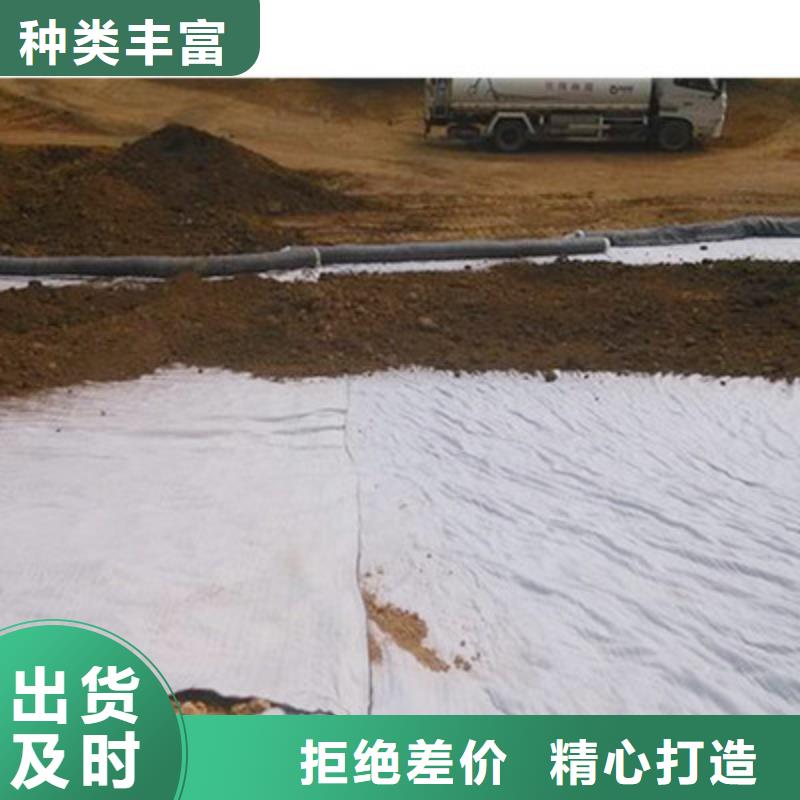 膨润土防水毯【涤纶土工格栅】库存量大