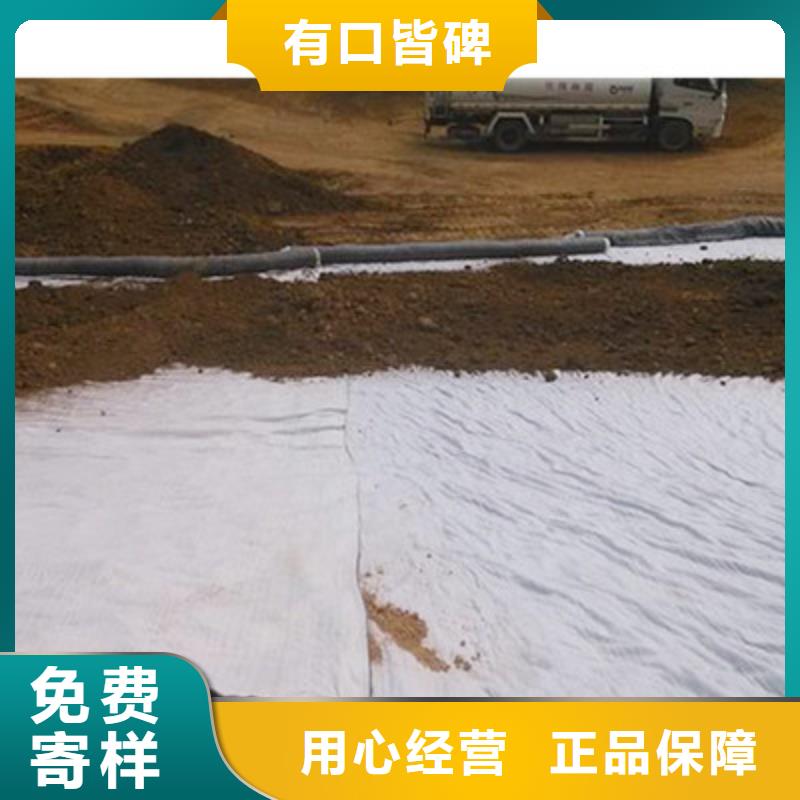 膨润土防水毯双向塑料土工格栅质检合格出厂