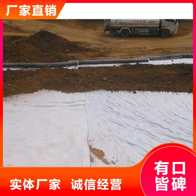 膨润土防水毯单向塑料土工格栅您身边的厂家