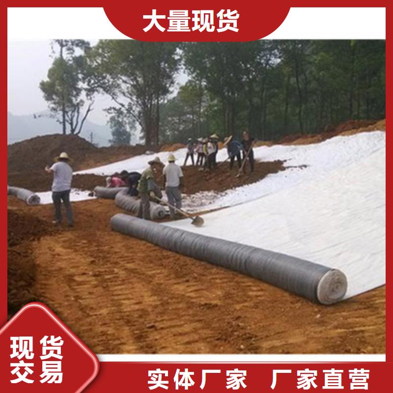 膨润土防水毯凸结点钢塑土工格栅多种款式可随心选择