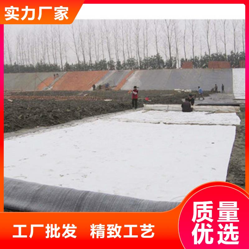 膨润土防水毯护坡土工网支持定制