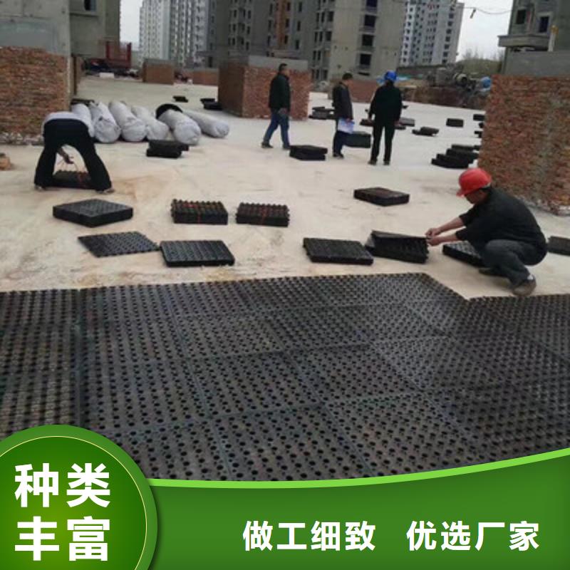 塑料排水板玻璃纤维土工格栅工艺成熟