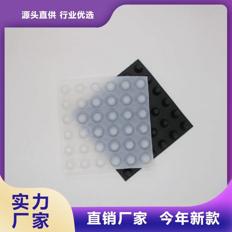 塑料排水板-三维土工网垫规格齐全实力厂家