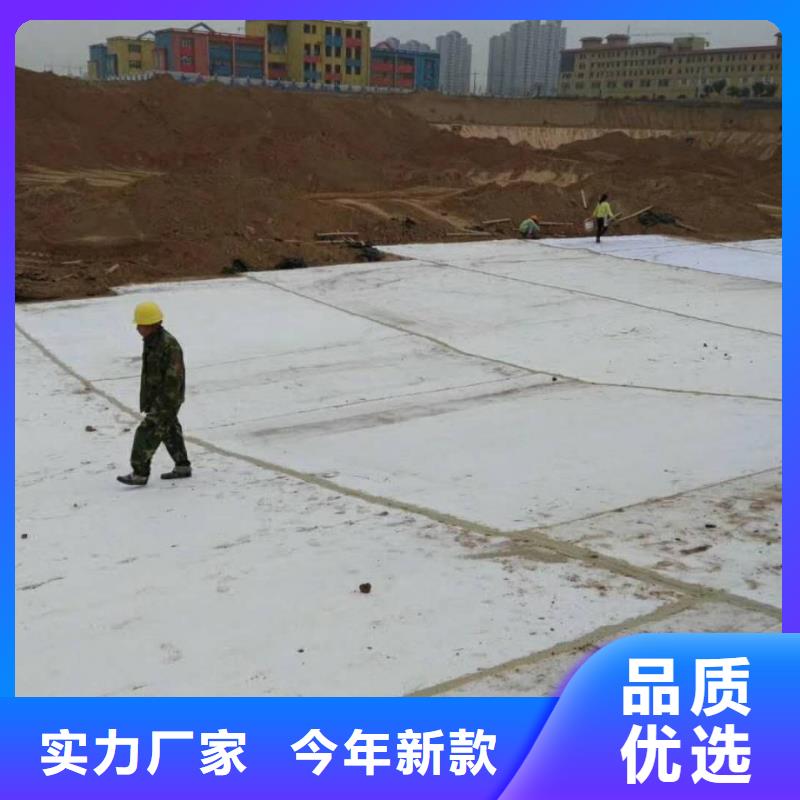 防水毯土工席垫随心所欲定制