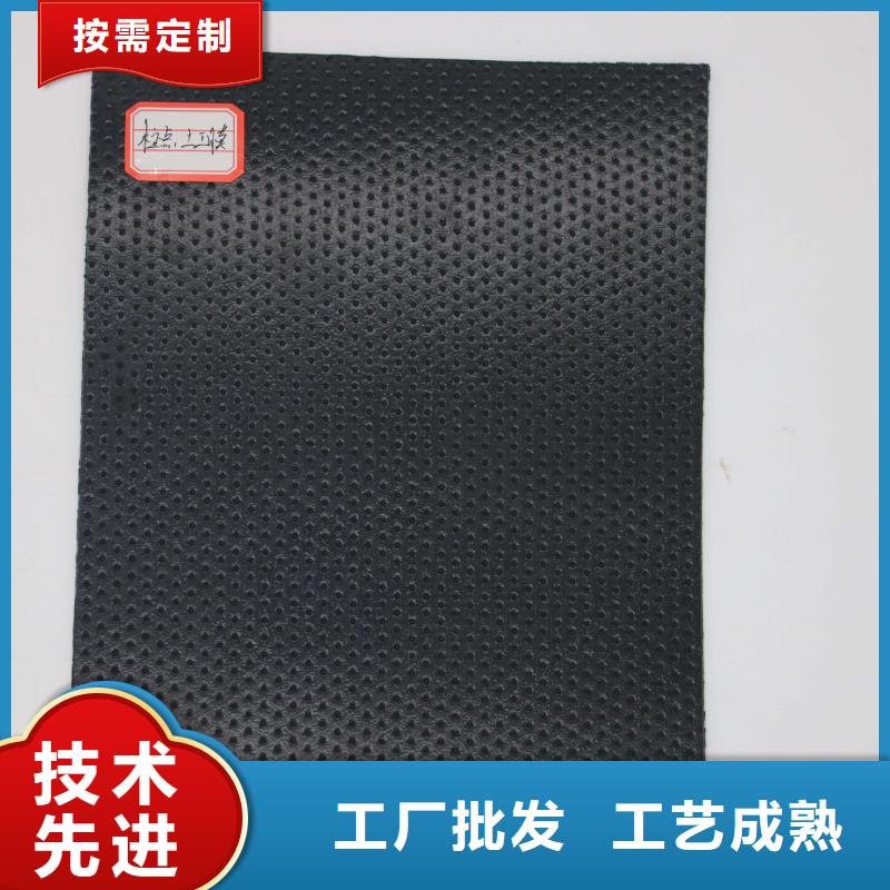 土工膜三维水土保护毯型号齐全