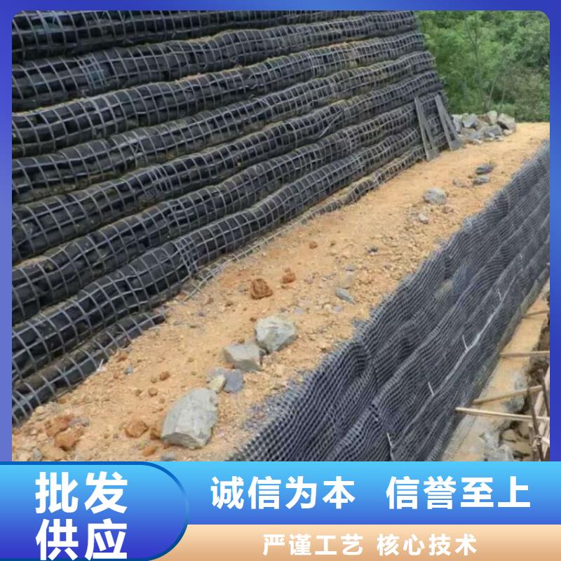 土工格栅,凸结点钢塑土工格栅品质值得信赖