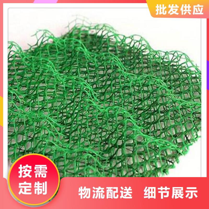 三维植被网-土工布一站式供应厂家