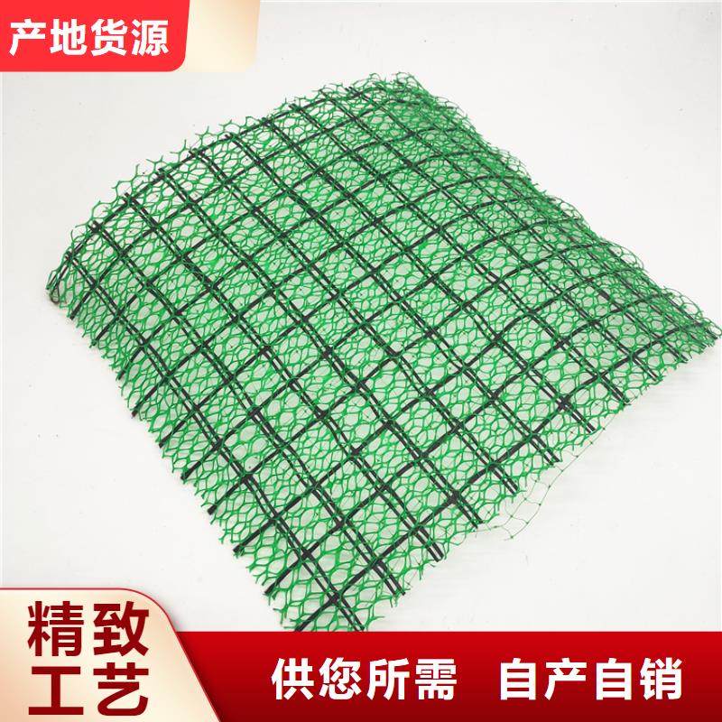三维植被网_【三维土工网垫】产品优势特点