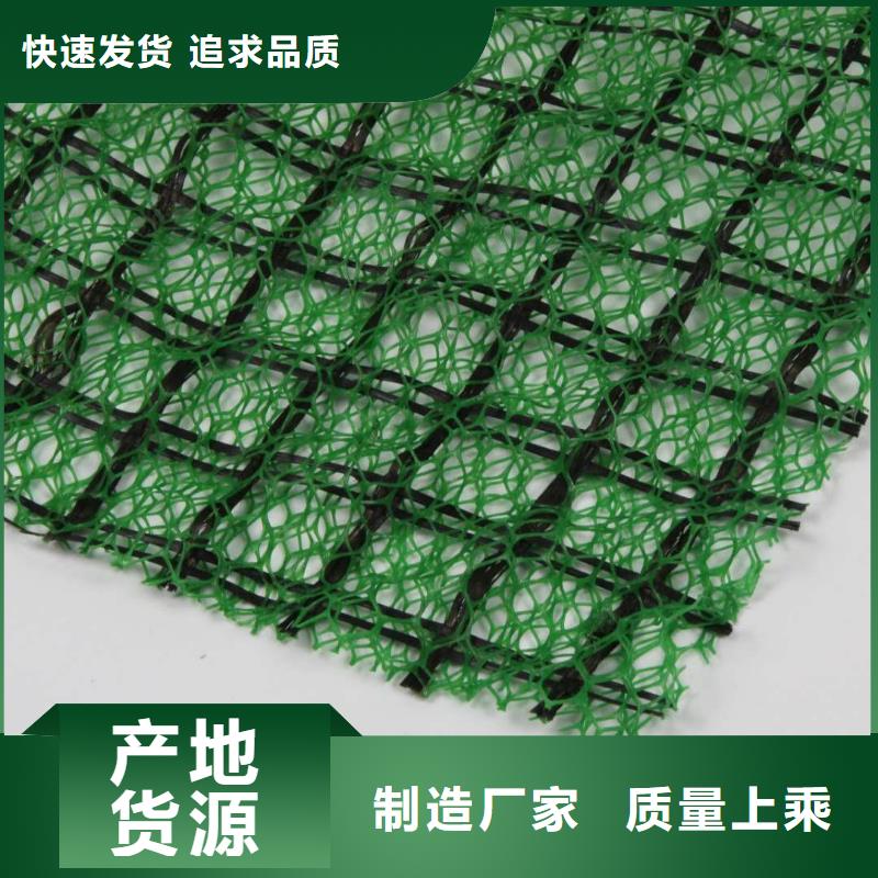 三维植被网钢塑土工格栅厂家性价比高