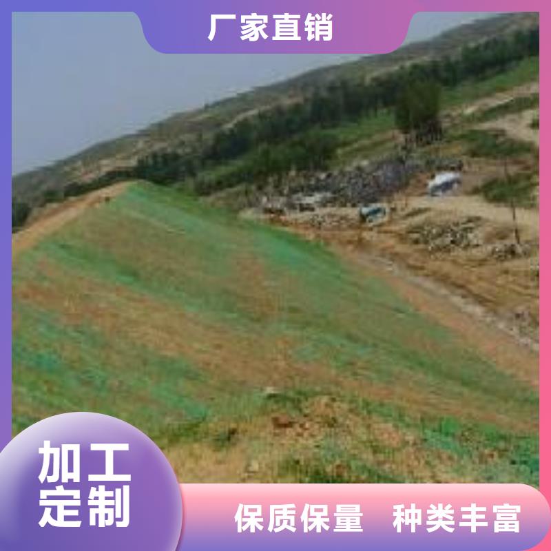 三维植被网钢塑土工格栅厂家直营