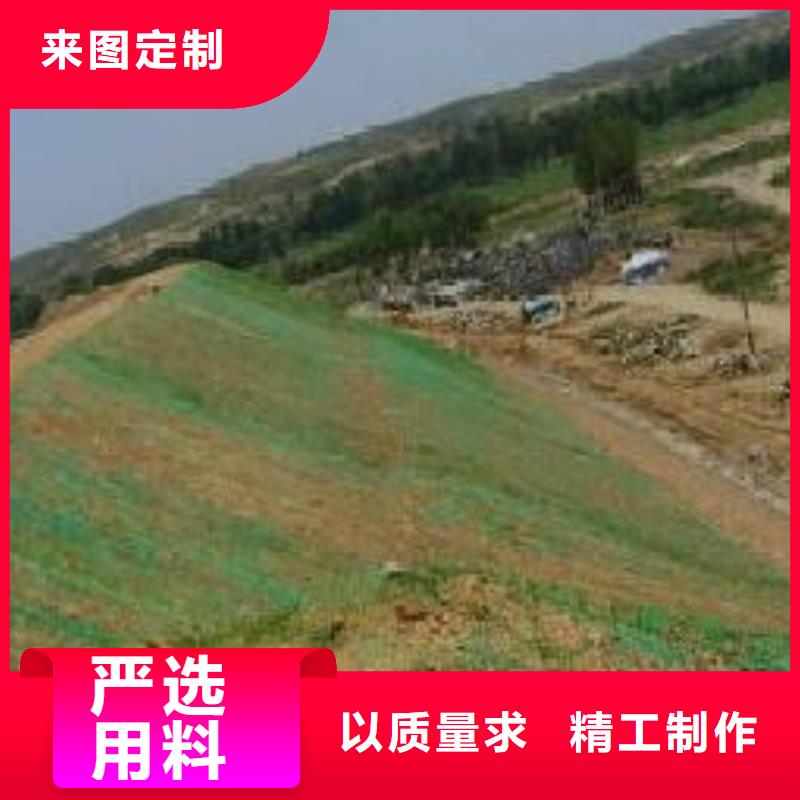 三维植被网多向塑料土工格栅好货直供