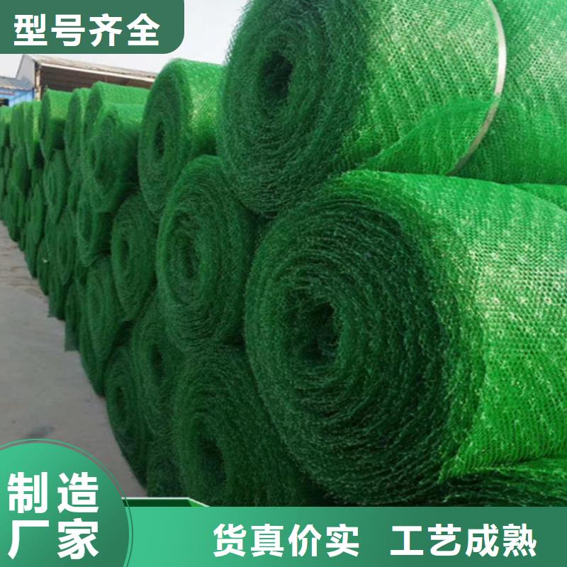 三维植被网三维水土保护毯现货供应