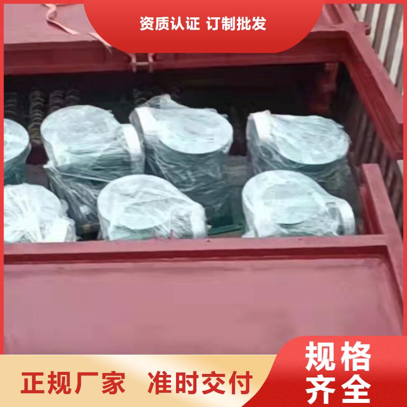 水电站铸铁闸门支持定制