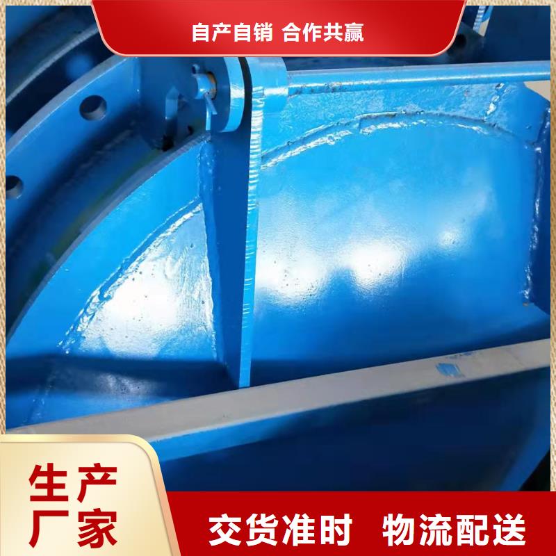 钢坝闸门支持定制