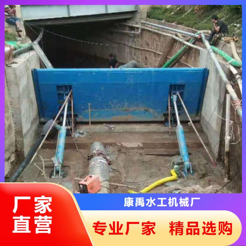 景观钢闸门支持定制