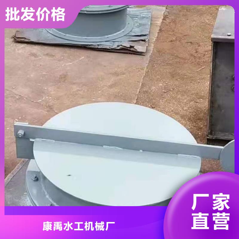 钢闸门随心所欲定制